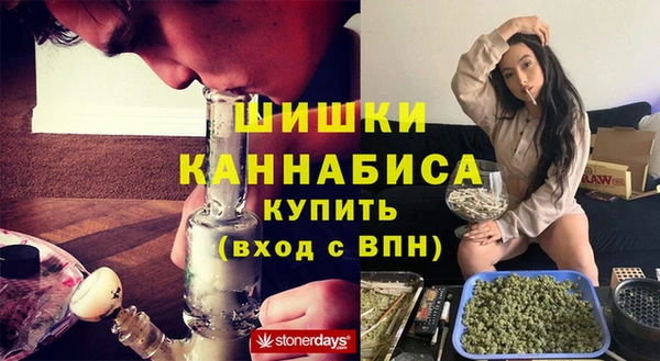 гидра Майский