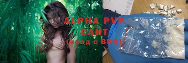 гашик Абаза